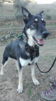 josey 5 20161124 1163315611
