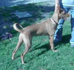 pipo 20101116 1692471216