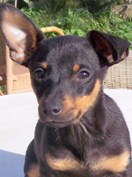 Zeus