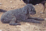 paco 20101116 1541393657