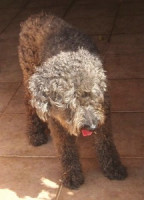 paco 20101116 1879194064