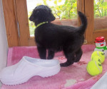 patrizia 20110416 1689056068