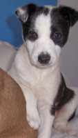 paulo 4 20120126 2094152484