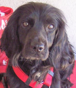 nanni 20110416 1828513811