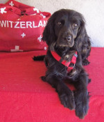 nanni 20110416 1962849208