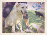 olaf 3 20160217 1450747293