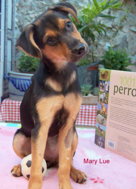 mary lue 1 20120703 1887842665