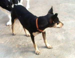 luky 20101116 1351253044
