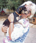 luky 20101116 1397703507