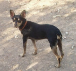 luky 20101116 1405763885