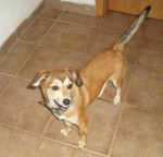 lunna 20101116 1000115027