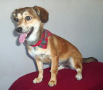 lunna 20101116 1640508286
