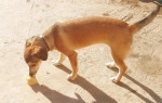 lunna 20101116 1825289332