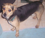 m peppi 6 20140204 1438827924