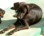 mandy 20101116 1089900019