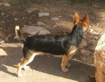 marco 20101116 1142510678