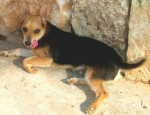 marco 20101116 1389582185
