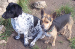 peppi 4 20140204 1057356687