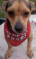 peppi 7 20140204 1377639209