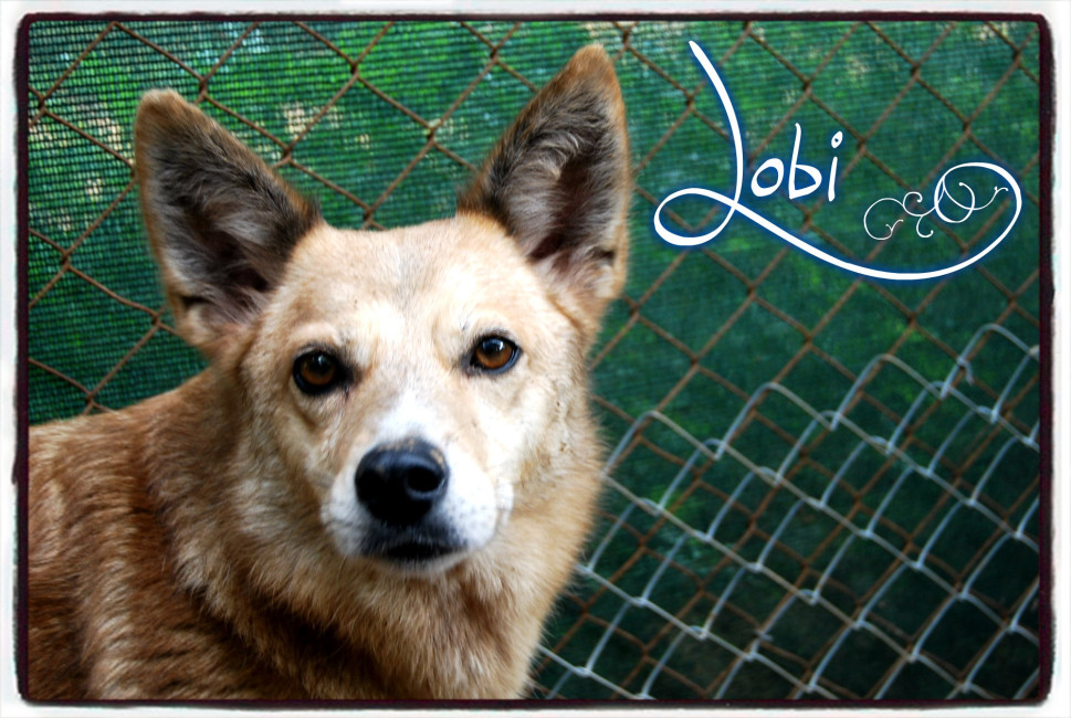 lobi 2 20150705 1434522134