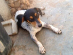 lona 20101116 1779759811