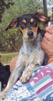 lona 2 20110706 2017389857