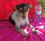 lona 5 20110706 1021654709