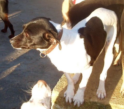 lua 20101118 1158761521