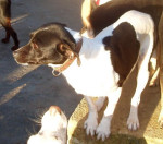 lua 20101118 1158761521