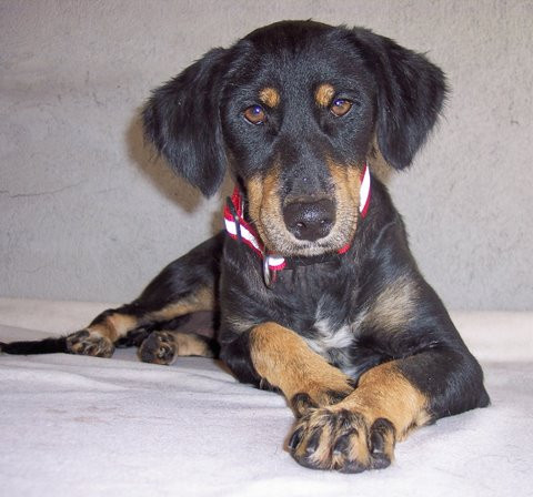 lucie 3 20111029 1135520123
