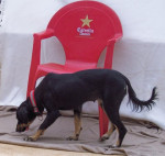 lucie 5 20111029 1005575080