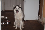 lucky 1 20130117 1981680647