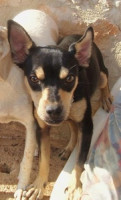 luky 20101116 2061407233