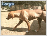 largo 1 20160819 1853703914