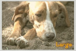 largo 2 20160819 1749312854