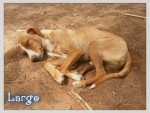 largo 2 20160819 1758166610