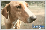largo 4 20160819 1742237113