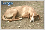 largo 5 20160819 1269417725