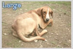 largo 7 20160819 1614116613