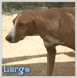 largo 9 20160819 2039827483