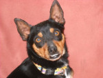 jacko 20101115 1577550523