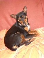 jacko 20101115 1661735995