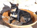 jacko 20101115 1761702537