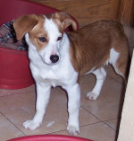 jeany 2 20130225 1296802141