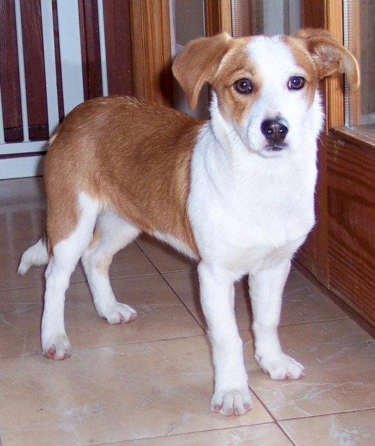 jeany 3 20130225 1532299659