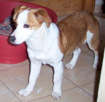 jeany 4 20130225 1826295189