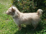 jerry 20101115 1368104539