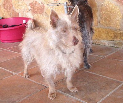 jerry 20101115 1388772430