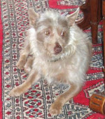 jerry 20101115 1631606685