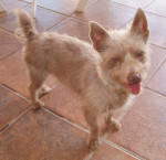 jerry 20101115 1699987533